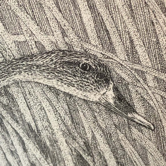 Charles Beckendorf Framed Print - Ducks in Flight - Picture 5 of 7